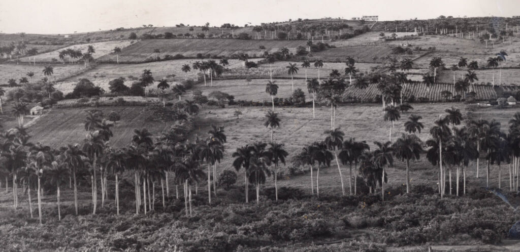 Surroundings of Sagua la Grande